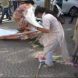 कांग्रेस का आरोप बीजेपी की प्रदर्शनकारी महिलाओं ने प्रभु श्रीराम का किया अपमान