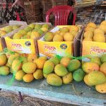 मेंगों जत्रा को इंदौर वासियों का मिला जबरदस्त प्रतिसाद
